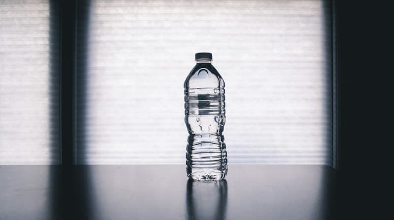 Bisleri Water Bottle (200 ml)
